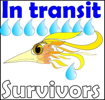 Survivor-In-Transit